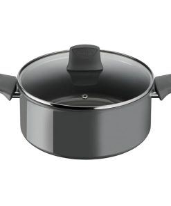 TEFAL Renewal lonec s pokrovom 24 cm [C4264673]